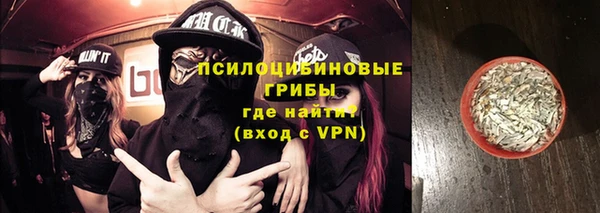 таблы Белокуриха