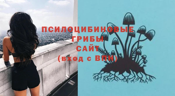 таблы Белокуриха